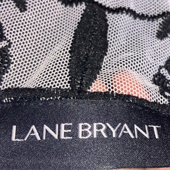 Lane Bryant sheer embroidered top - Picture 7 of 8